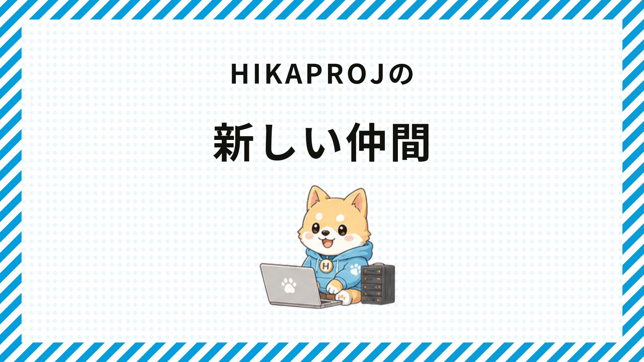 Hikaprojの新しい仲間